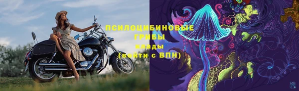 2c-b Кодинск