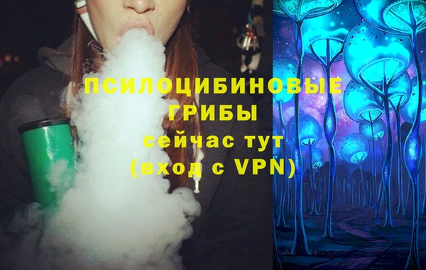 mix Козельск