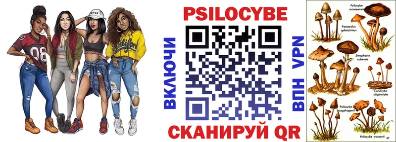 Псилоцибиновые грибы Cubensis  Купить закладки  Задонск 